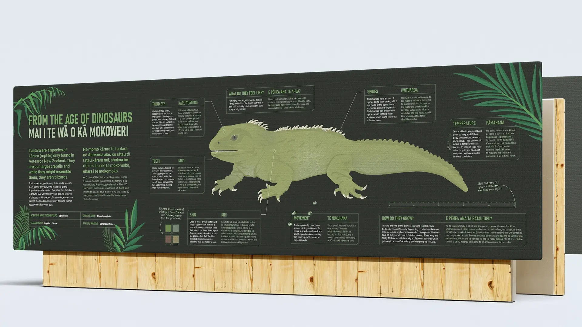 250731 Tuatara enclosure Website artworks 1